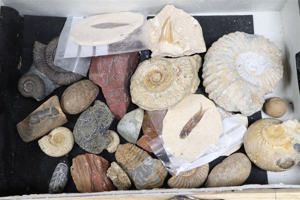 A small collection of assorted fossils, a polished gem stone, 40cm long and a polished mineral sculpture, 35cm high